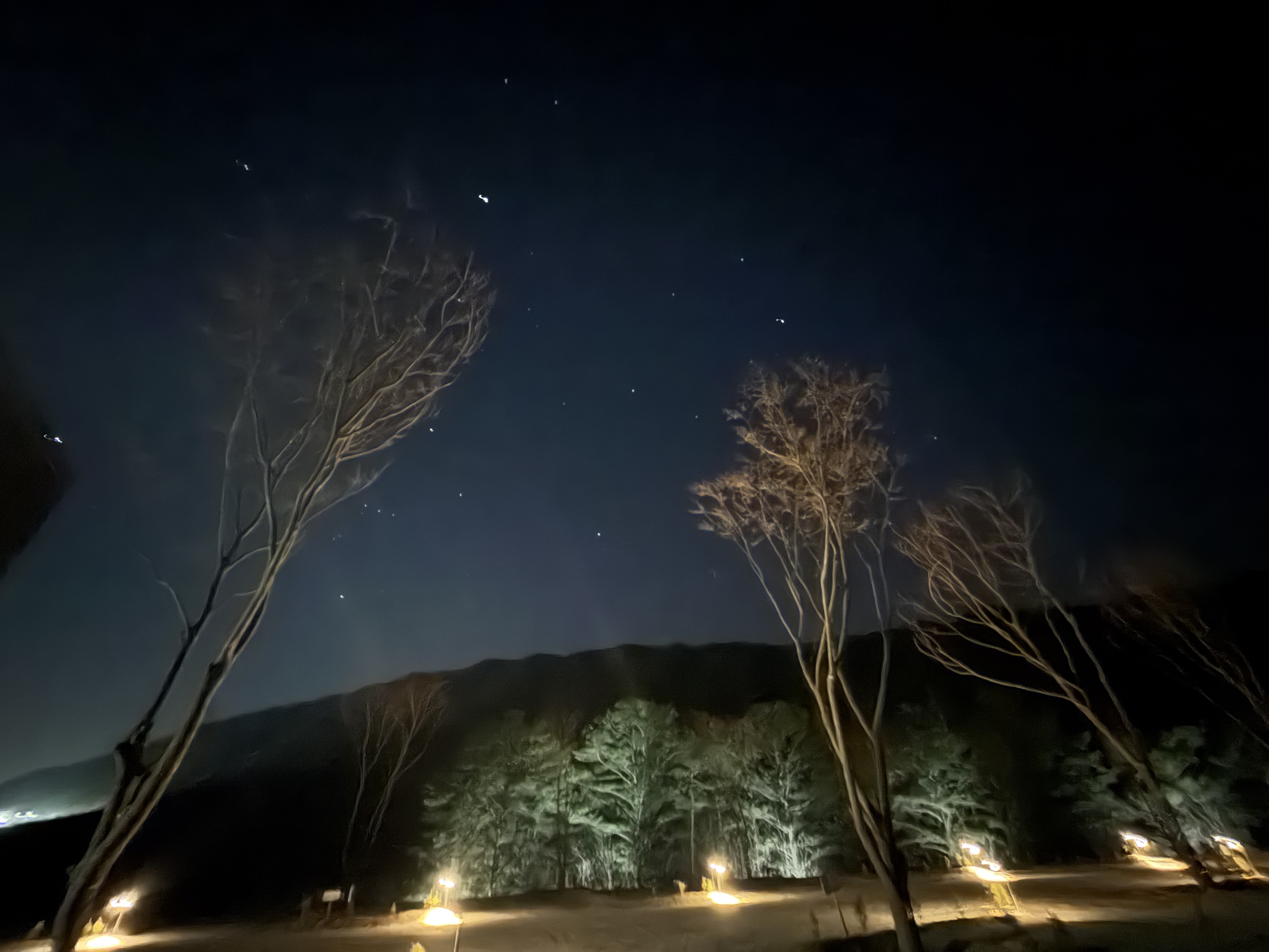 별이 보이는 몽림의 밤